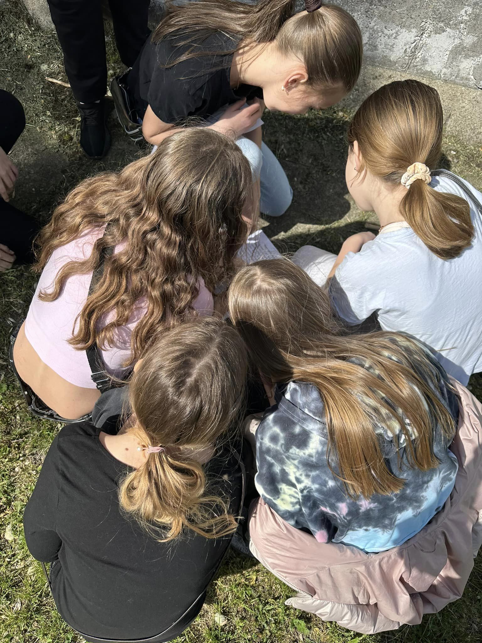 438146048_3595971383949988_2682135537302362199_n