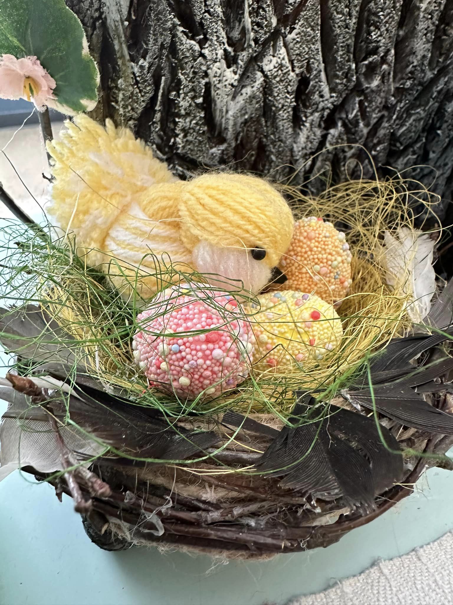 438169356_3593843867496073_3411606489371058498_n